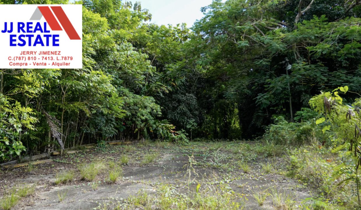 B6890C1F-DC29-4C9D-8E9C-07CF31879E45